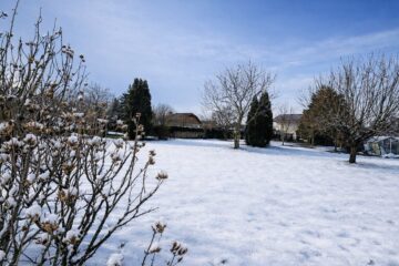 Grundstück mit Altbestand in Maxglan, 5020 Salzburg, Wohngrundstück