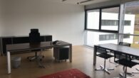 Arbeiten auf hohem Niveau - repräsentatives Büro in Puch/Urstein - Bild
