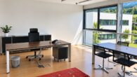 Arbeiten auf hohem Niveau - repräsentatives Büro in Puch/Urstein - Bild